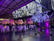 DJ Stancamax Stéphane GONTIER Les Jardins de josephine 27